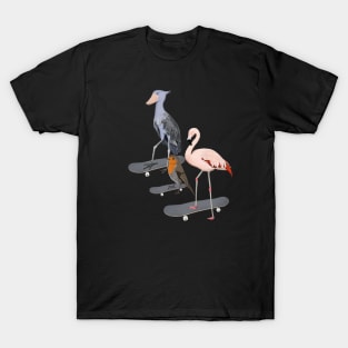 Shoebill Flamingo Robin Bird Skateboard Birdwatcher Animal Biologist T-Shirt